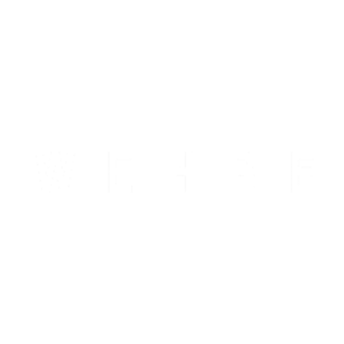 logo Galerías Wehbe